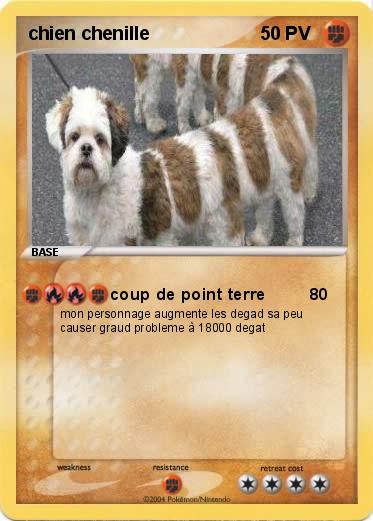 Pokemon chien chenille
