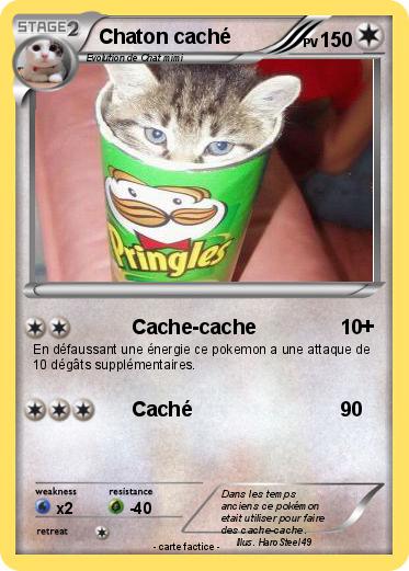 Pokemon Chaton caché