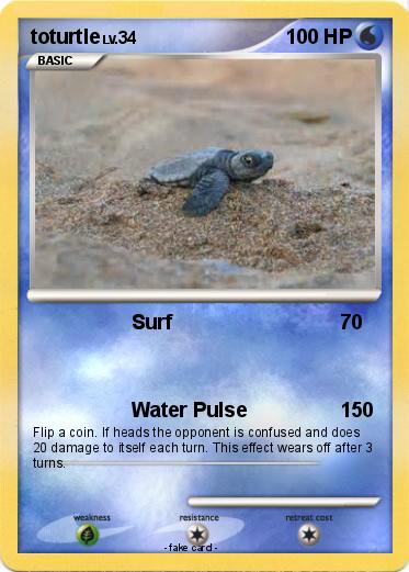 Pokemon toturtle
