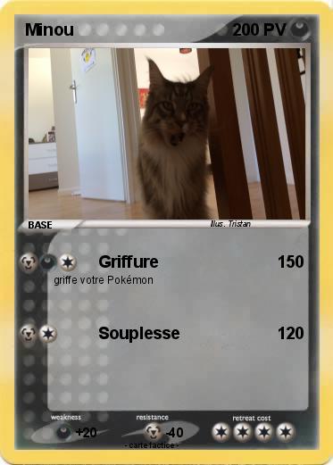 Pokemon Minou