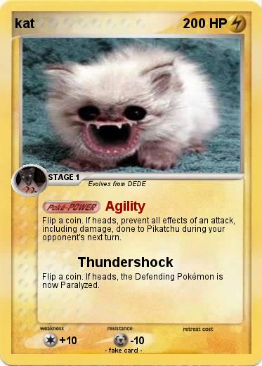 Pokemon kat