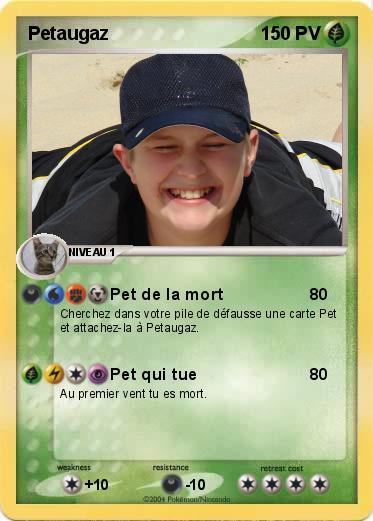 Pokemon Petaugaz