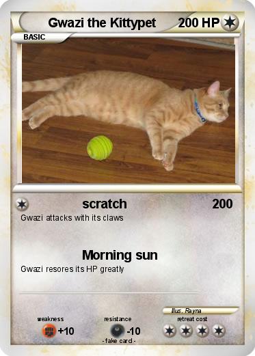 Pokemon Gwazi the Kittypet