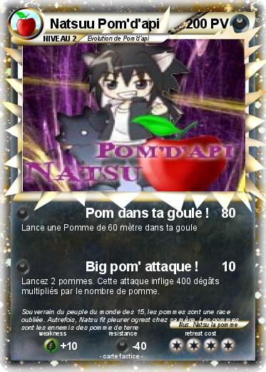 Pokemon Natsuu Pom'd'api