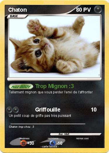 Pokemon Chaton