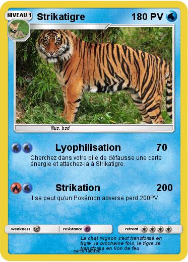 Pokemon Strikatigre
