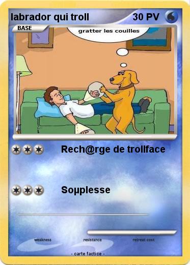 Pokemon labrador qui troll