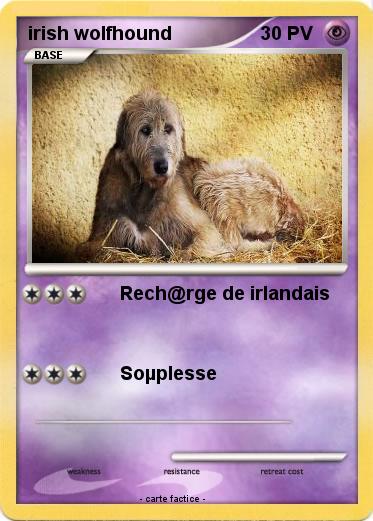 Pokemon irish wolfhound