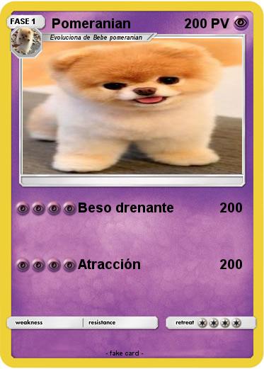 Pokemon Pomeranian