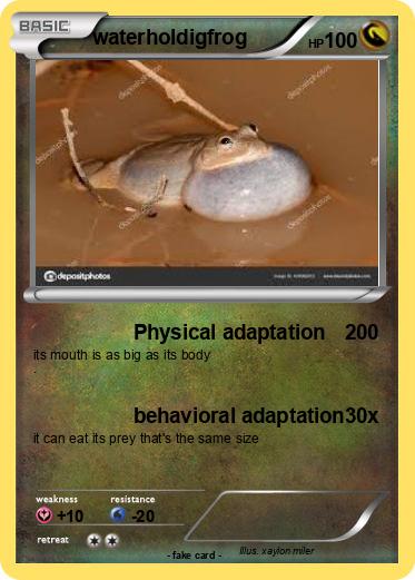 Pokemon waterholdigfrog