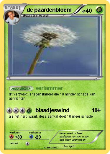 Pokemon de paardenbloem