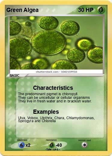 Pokemon Green Algea