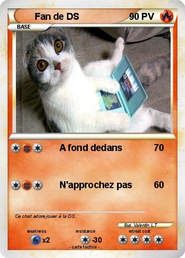 Pokemon Fan de DS