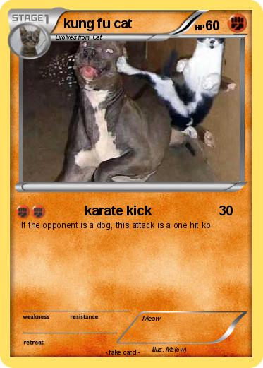 Pokemon kung fu cat