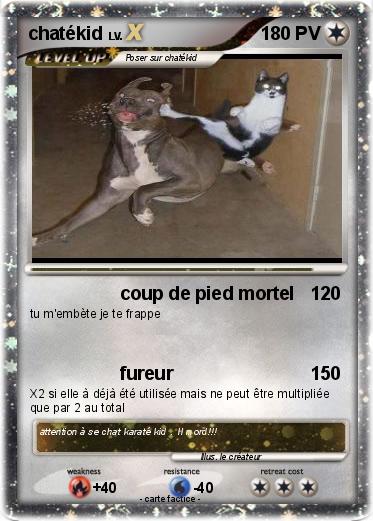 Pokemon chatékid