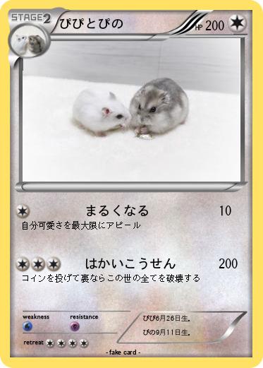 Pokemon ぴぴとぴの