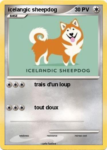 Pokemon icelangic sheepdog