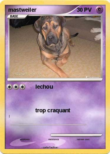 Pokemon mastweiler