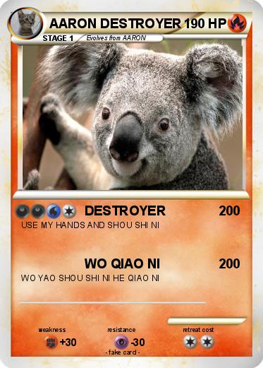 Pokemon AARON DESTROYER