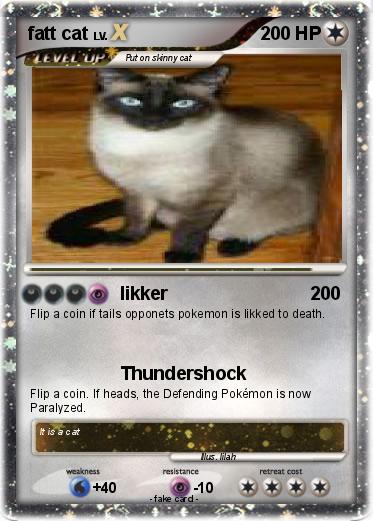 Pokemon fatt cat
