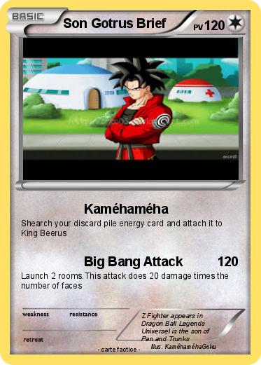 Pokemon Son Gotrus Brief