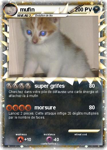 Pokemon mufin