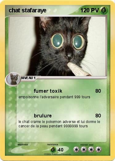 Pokemon chat stafaraye