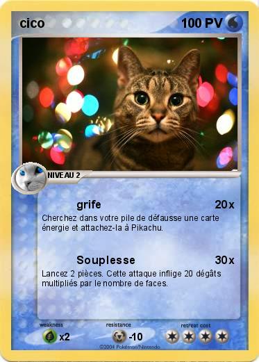 Pokemon cico