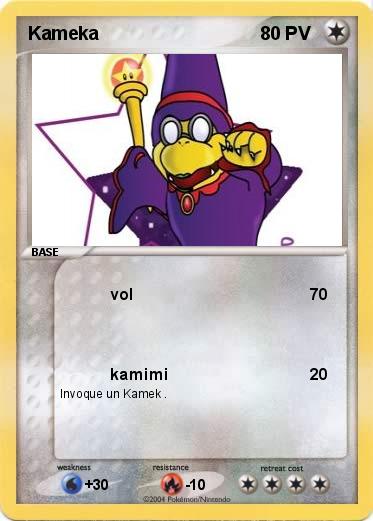 Pokemon Kameka 