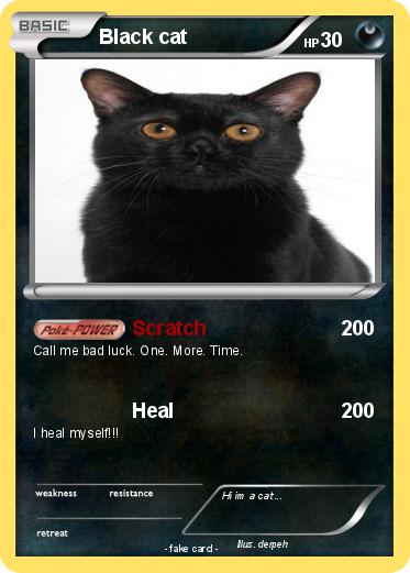 Pokemon Black cat