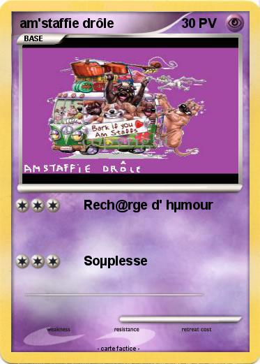 Pokemon am'staffie drôle