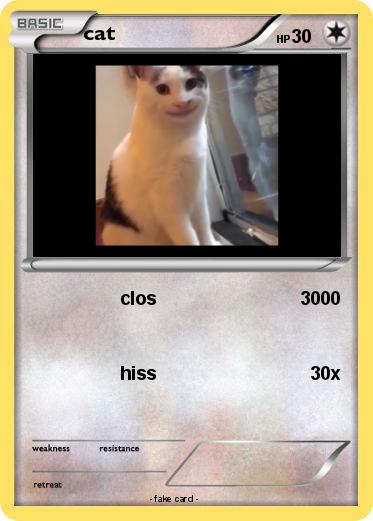 Pokemon cat