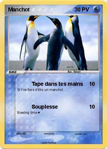 Pokemon Manchot