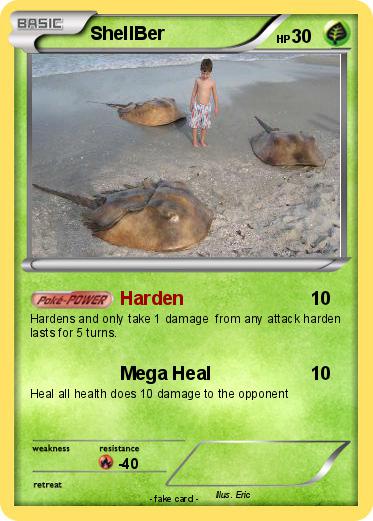 Pokemon ShellBer