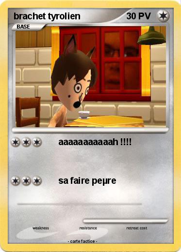 Pokemon brachet tyrolien