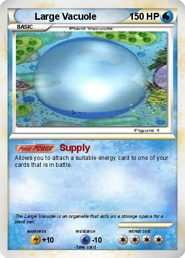 Pokemon Large Vacuole