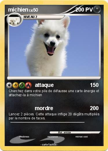 Pokemon michien