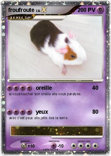 Pokemon froufroute