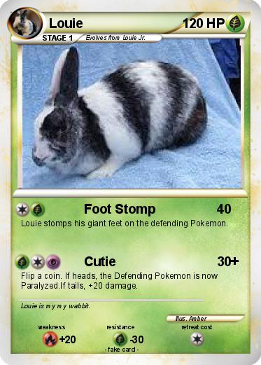 Pokemon Louie