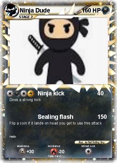 Pokemon Ninja Dude
