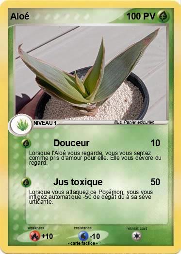 Pokemon Aloé