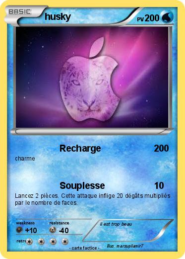 Pokemon husky