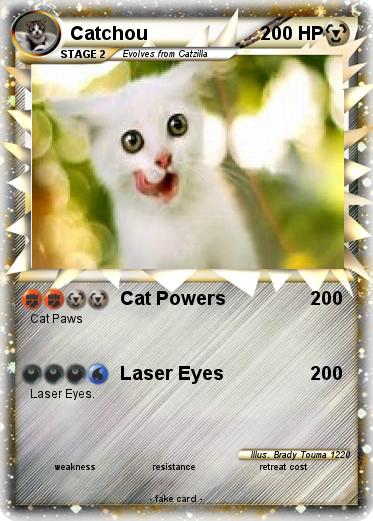 Pokemon Catchou
