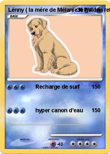 Pokemon Lénny ( la mére de Mélanie le golden retriever  )