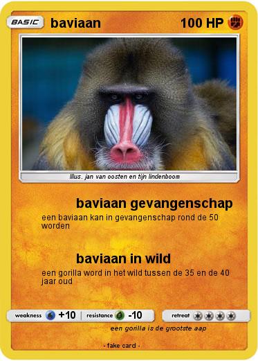 Pokemon baviaan
