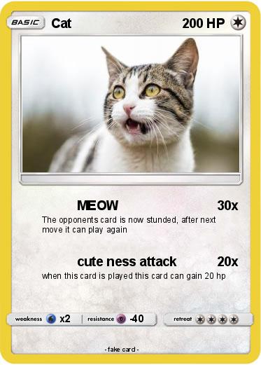 Pokemon Cat