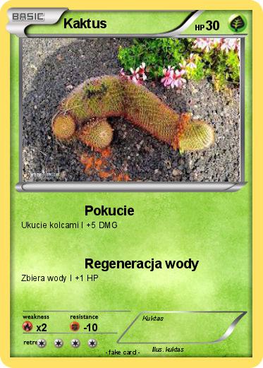 Pokemon Kaktus
