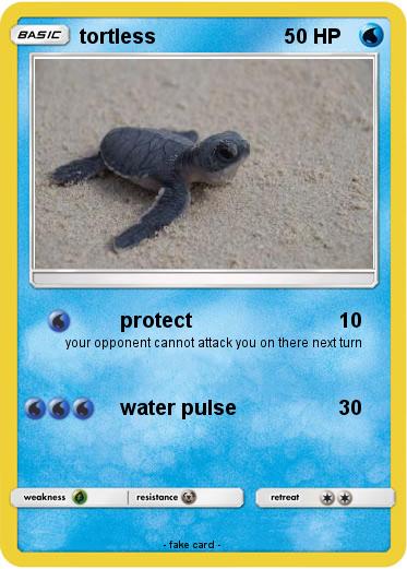 Pokemon tortless