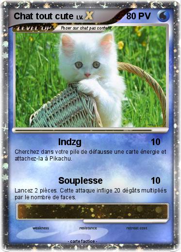 Pokemon Chat tout cute