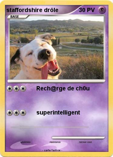 Pokemon staffordshire drôle